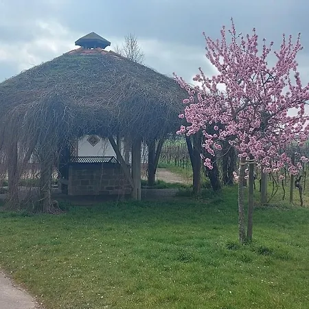 Ferienwohnung Zum Weinberg Grosskarlbach Exterior photo