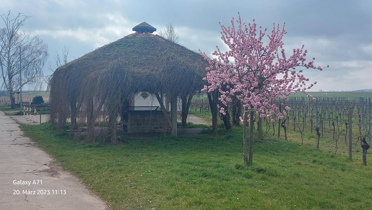 Apartment Zum Weinberg Grosskarlbach