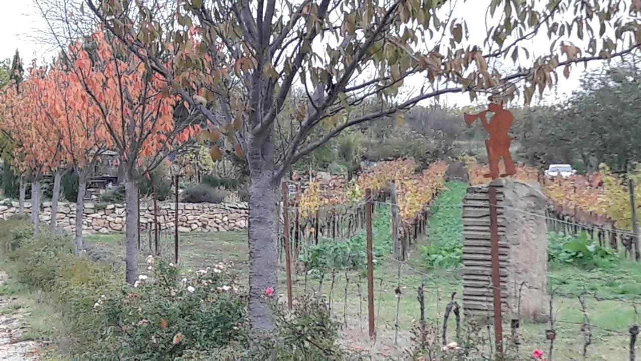 Appartement Zum Weinberg