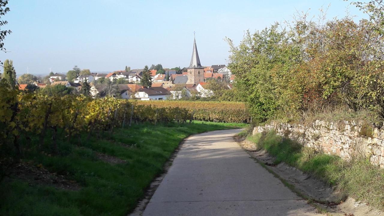 Zum Weinberg Apartment